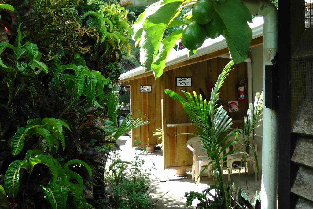 Gecko Lodge Fiji Savusavu Luaran gambar