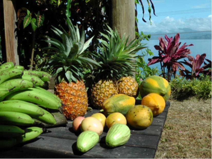 Gecko Lodge Fiji Savusavu Luaran gambar