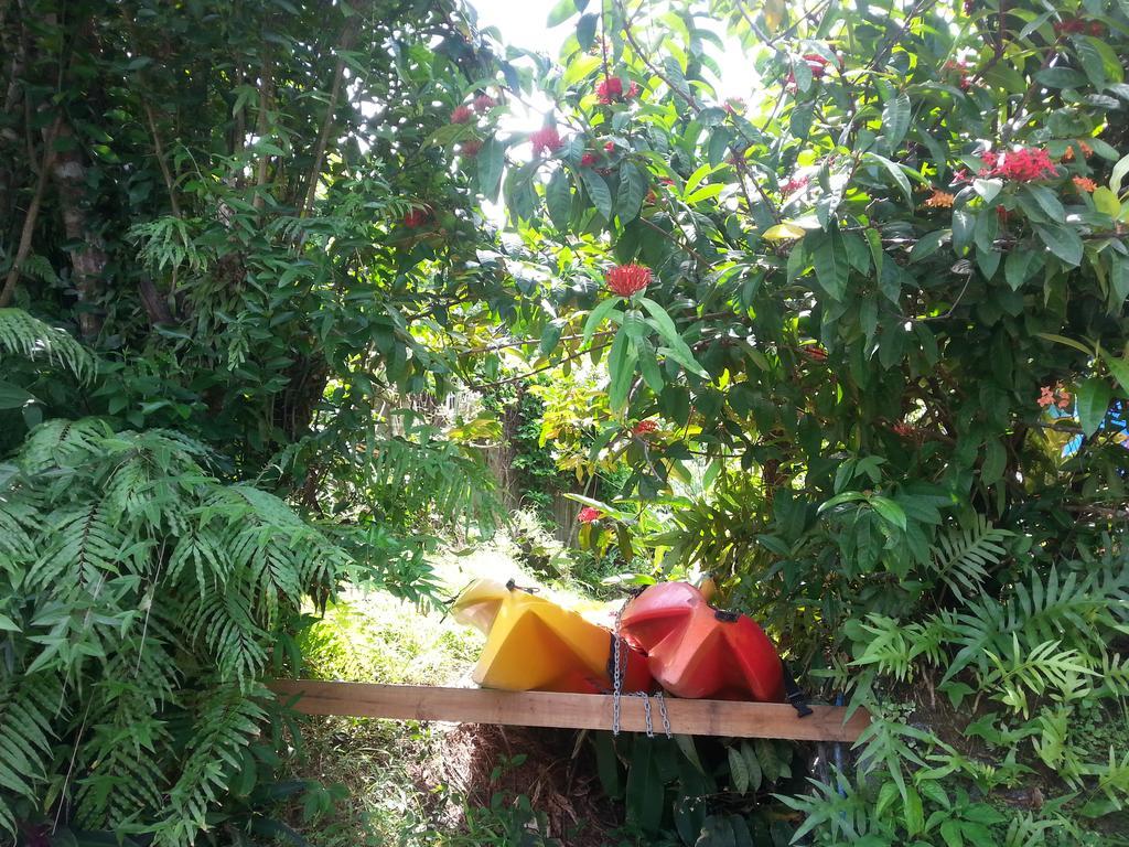 Gecko Lodge Fiji Savusavu Luaran gambar