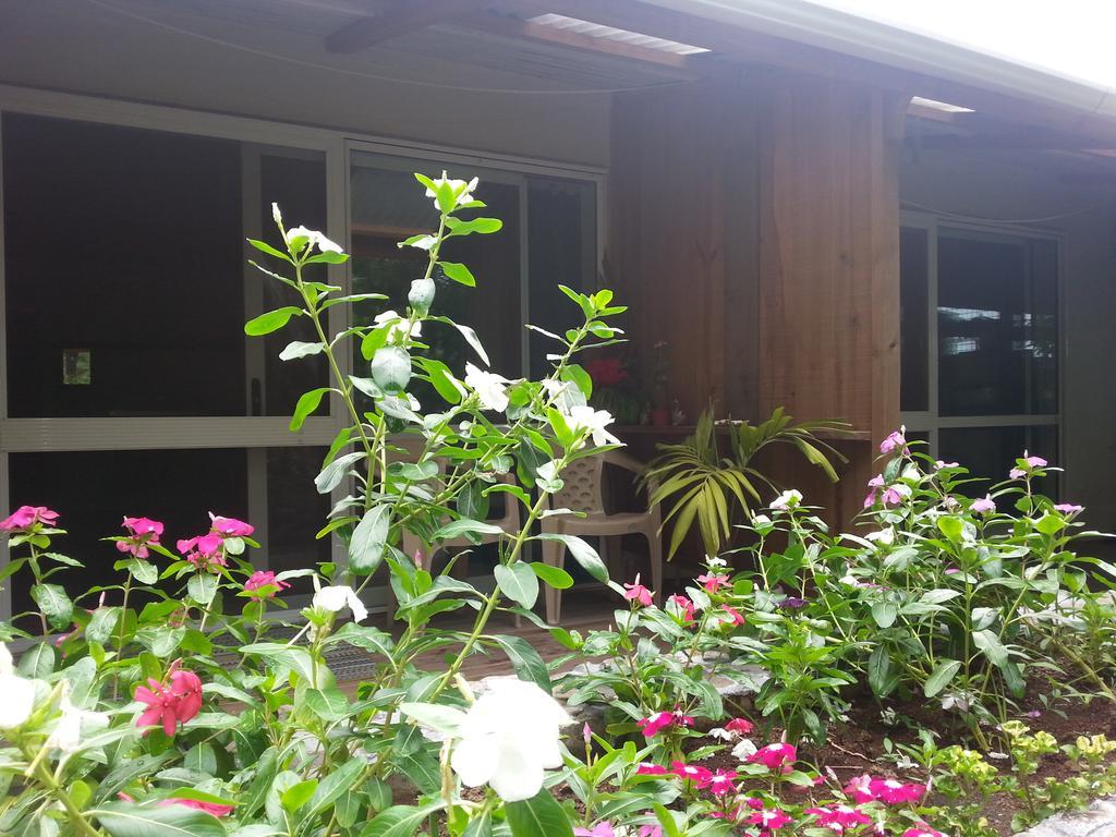 Gecko Lodge Fiji Savusavu Luaran gambar
