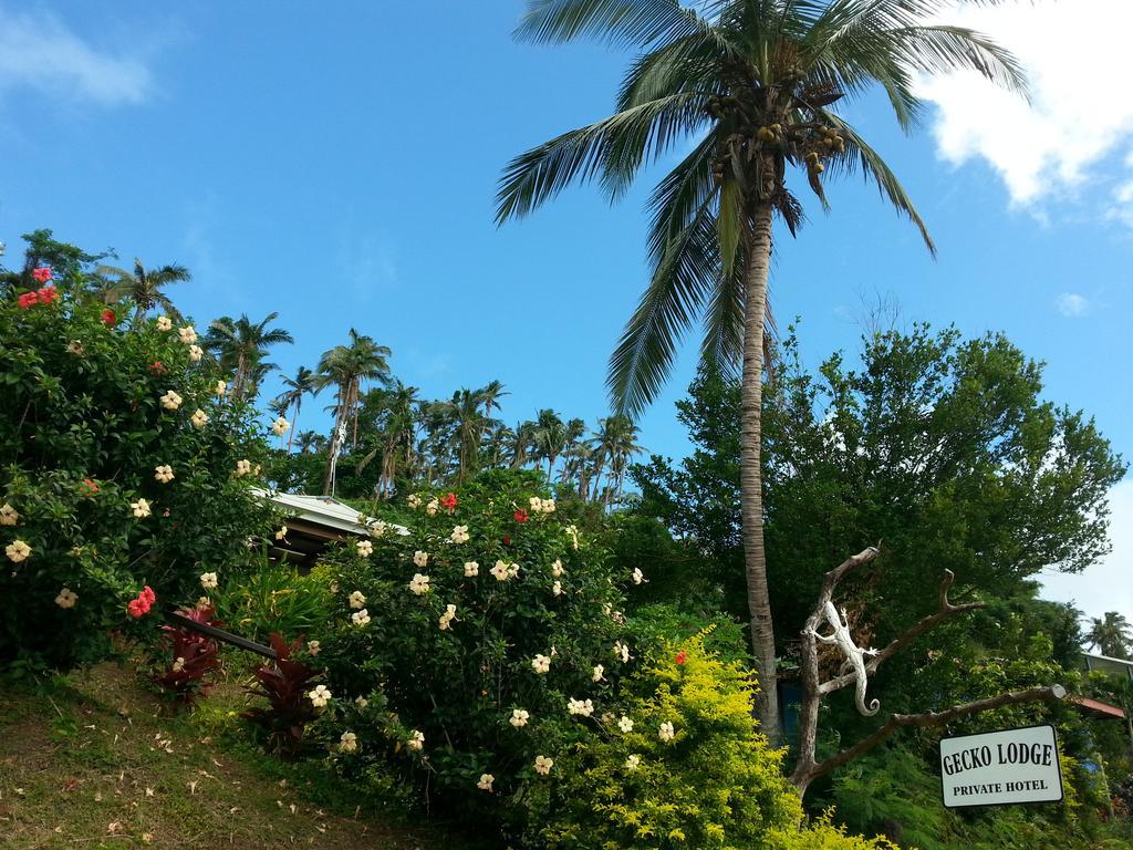 Gecko Lodge Fiji Savusavu Luaran gambar