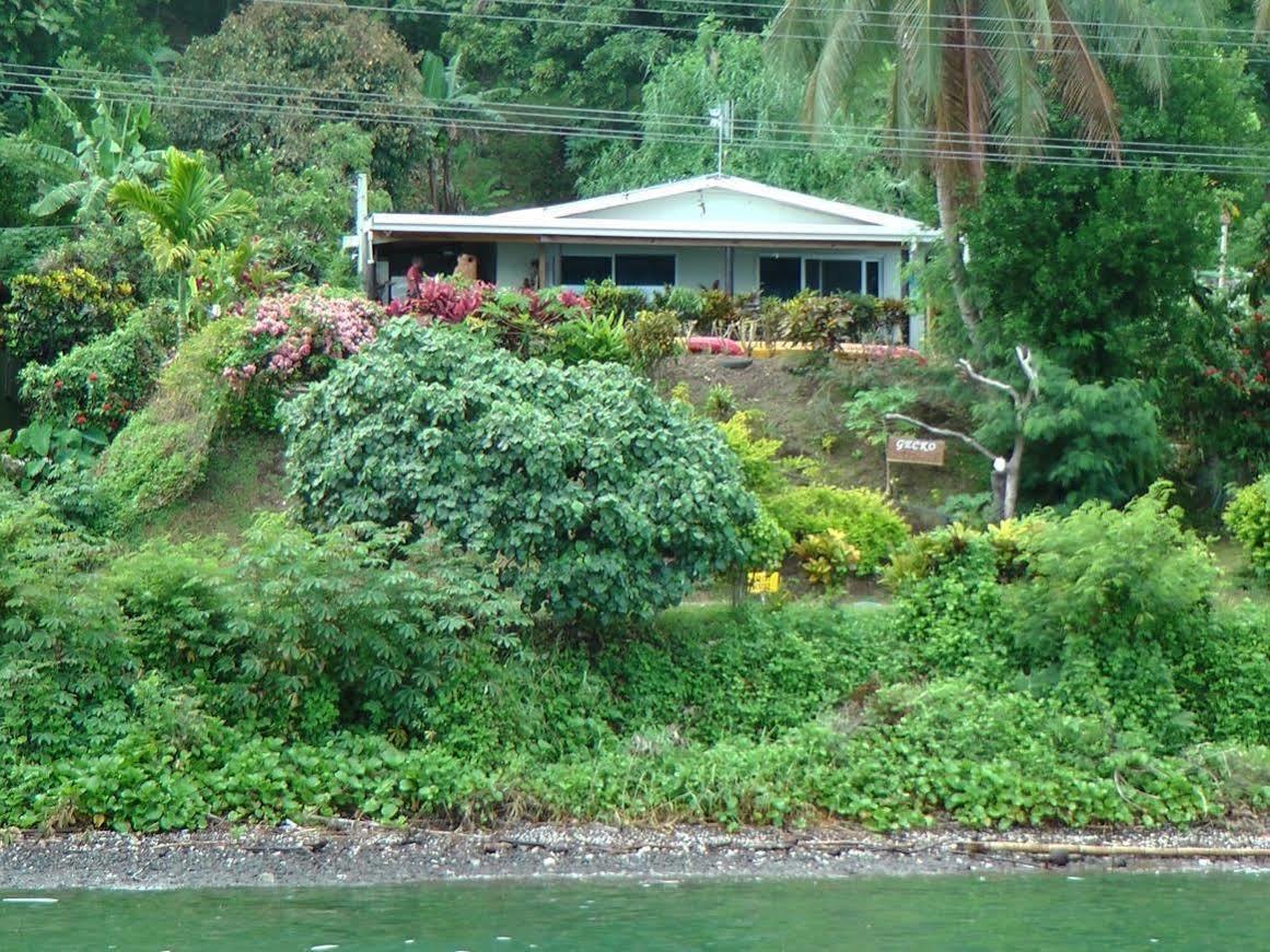 Gecko Lodge Fiji Savusavu Luaran gambar
